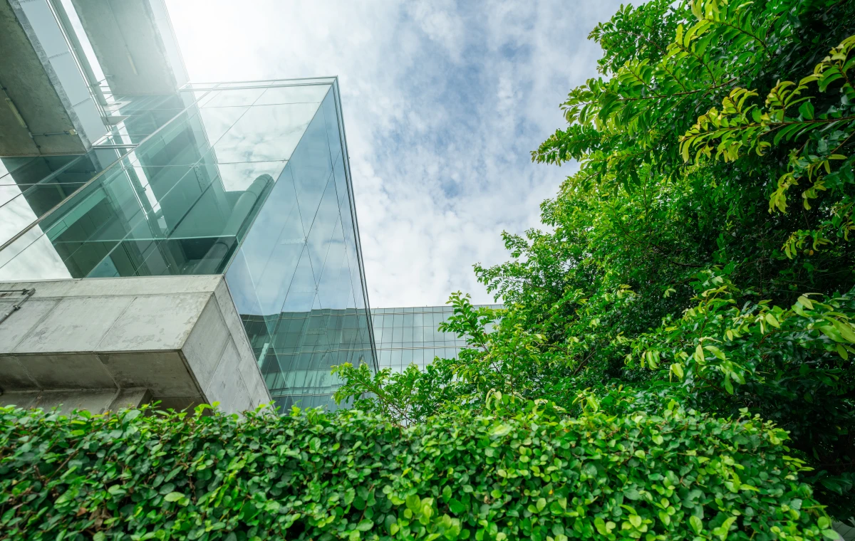 Révolution verte dans l'immobilier : les nouvelles normes environnementales bouleversent le marché