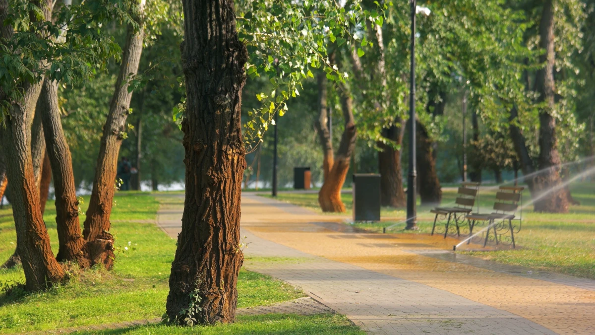 L'immobilier, clé de voûte des villes intelligentes de demain